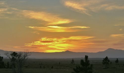 Scenic view of landscape against cloudy sky