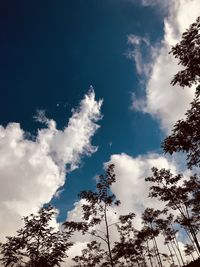 Low angle view of silhouette trees against blue sky