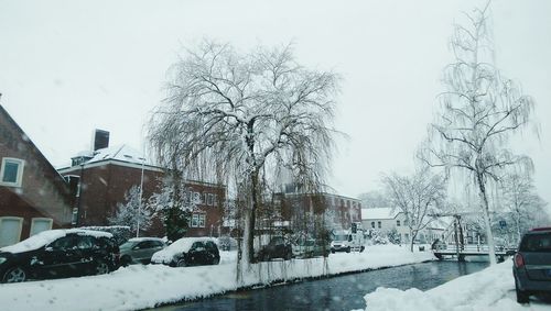 Snow covered trees in winter