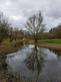 Reflection of trees in lake against sky