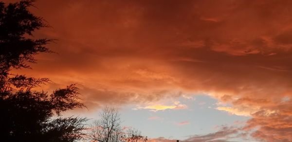 Low angle view of silhouette trees against dramatic sky