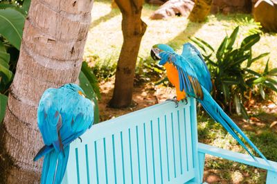 View of a bird perching on tree