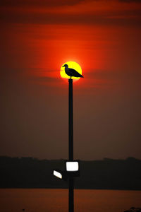 Street light against orange sky