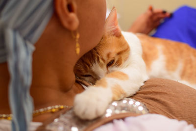 Close-up of cat sleeping on bed