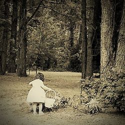 Bare trees against sky