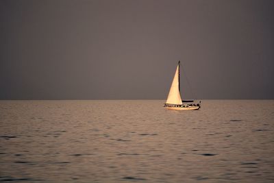 Sailboat sailing on sea against sky