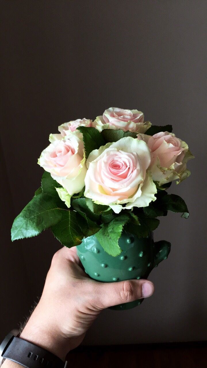 CLOSE-UP OF WOMAN HOLDING ROSE