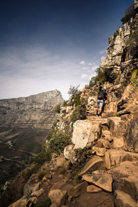 Climbing lions head cape town