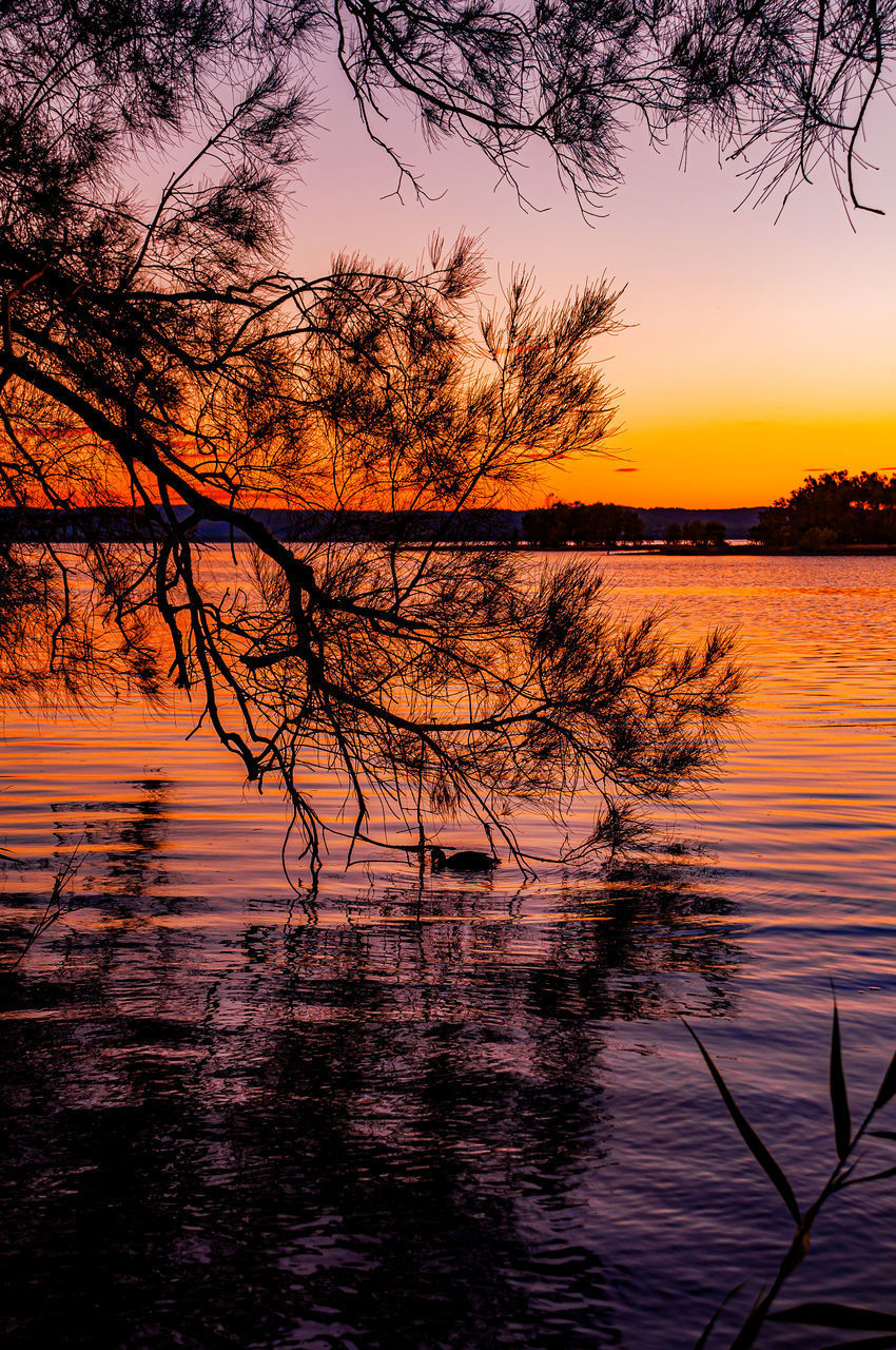 SILHOUETTE TREE BY LAKE AGAINST ROMANTIC SKY AT SUNSET