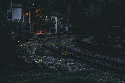 Railroad tracks amidst trees in city