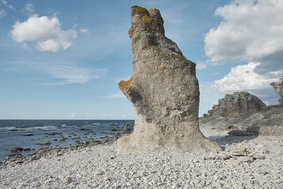 Driftwood on beach against sky