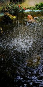 High angle view of water flowing through a forest