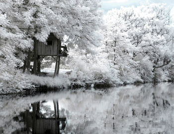 Stilt house and trees by lake