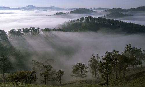 Scenic view of trees and mountains against sky