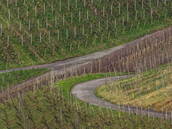 Road amidst green landscape