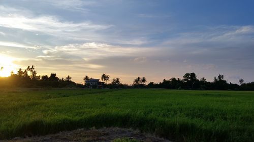 Scenic view of field against sky during sunset