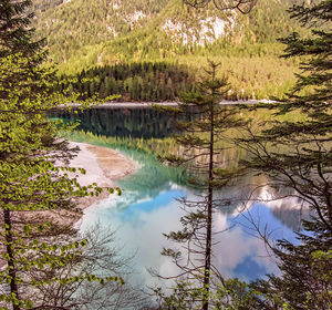 Scenic view of lake in forest against sky