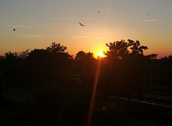 Silhouette bird flying against sky during sunset