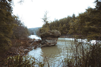 Scenic view of river in forest against clear sky