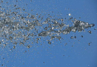 Close-up of water drops on black background