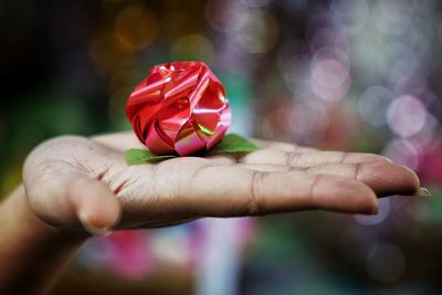 Close-up of hand holding red flower