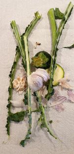 Directly above shot of vegetables on plant