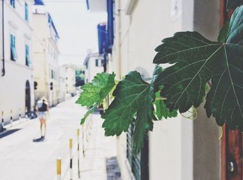 View of building exterior