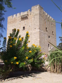 Low angle view of plants against building