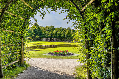 Footpath in park against sky