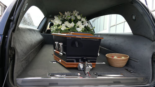 Close-up of potted plants in car