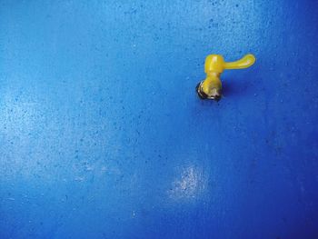 Close-up of yellow blue toy