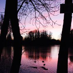 Silhouette trees by lake against sky during sunset