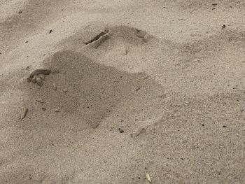 High angle view of footprints on sand