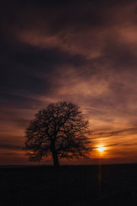 Silhouette tree on field against orange sky