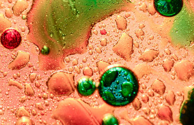 Close-up of water drops on fruit