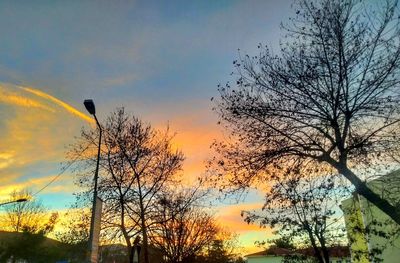Low angle view of silhouette trees against sky during sunset