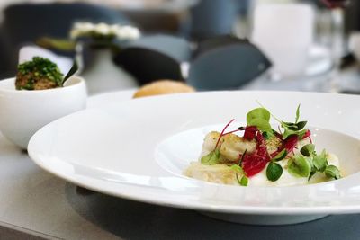 Close-up of served food in plate