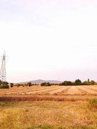 Scenic view of field against clear sky