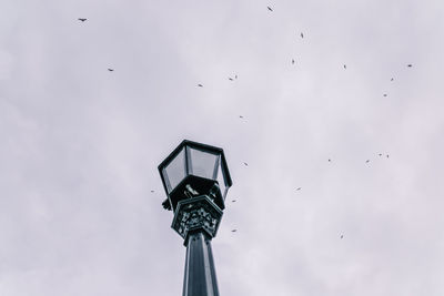 Low angle view of bird flying against sky