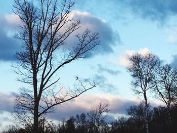 Low angle view of bare trees against cloudy sky