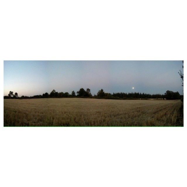 field, landscape, transfer print, tranquil scene, tranquility, copy space, rural scene, scenics, clear sky, auto post production filter, beauty in nature, nature, agriculture, grass, growth, tree, sky, farm, horizon over land, outdoors