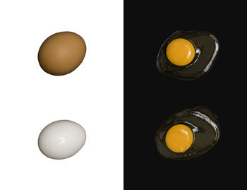 Directly above shot of eggs against white background