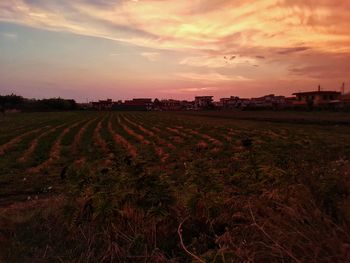 Scenic view of field against sky during sunset