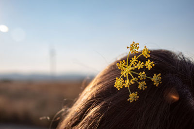 Close-up of flowering plant against sky