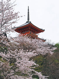 Low angle view of temple