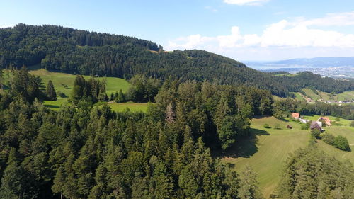 High angle view of trees on mountain against sky