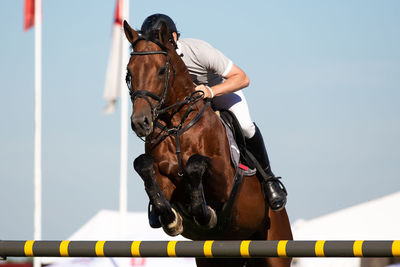 Man riding horse