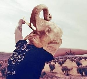 Young man with arms raised against sky