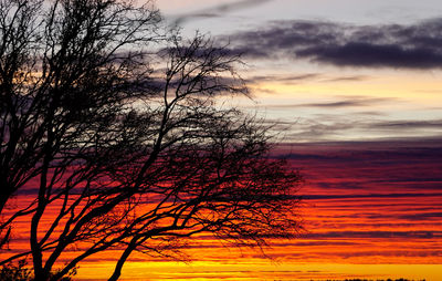Silhouette tree by sea against sky during sunset