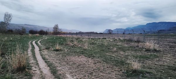 Scenic view of field against sky